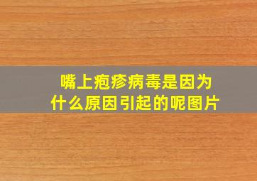 嘴上疱疹病毒是因为什么原因引起的呢图片