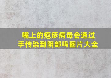 嘴上的疱疹病毒会通过手传染到阴部吗图片大全