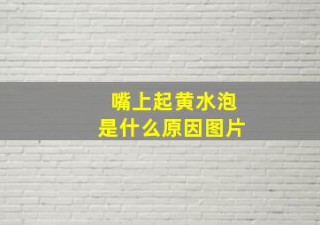 嘴上起黄水泡是什么原因图片