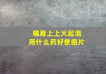 嘴唇上上火起泡用什么药好使图片