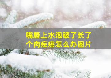 嘴唇上水泡破了长了个肉疙瘩怎么办图片