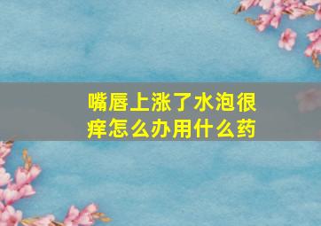 嘴唇上涨了水泡很痒怎么办用什么药