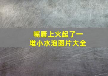 嘴唇上火起了一堆小水泡图片大全