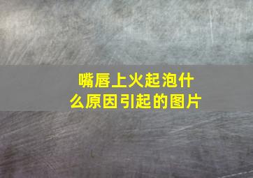 嘴唇上火起泡什么原因引起的图片