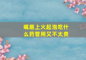 嘴唇上火起泡吃什么药管用又不太贵