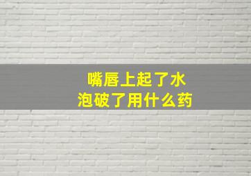 嘴唇上起了水泡破了用什么药