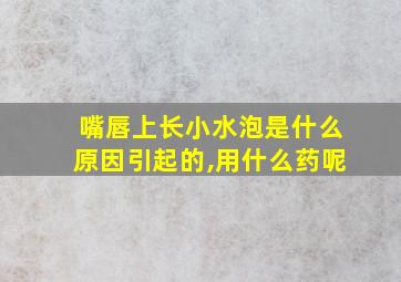 嘴唇上长小水泡是什么原因引起的,用什么药呢