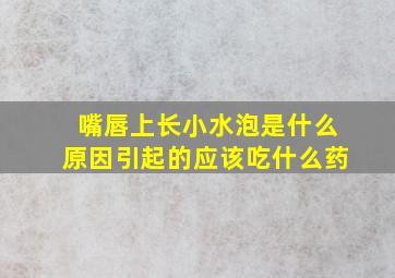 嘴唇上长小水泡是什么原因引起的应该吃什么药