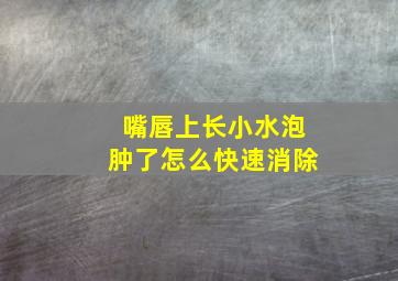 嘴唇上长小水泡肿了怎么快速消除