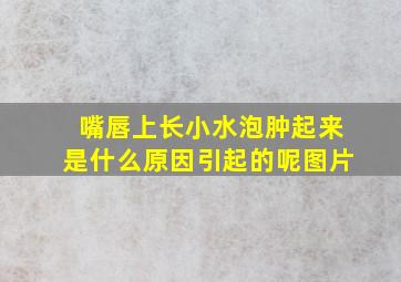 嘴唇上长小水泡肿起来是什么原因引起的呢图片