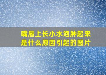 嘴唇上长小水泡肿起来是什么原因引起的图片