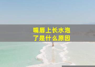 嘴唇上长水泡了是什么原因