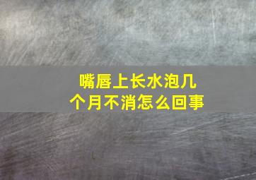 嘴唇上长水泡几个月不消怎么回事