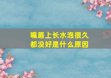 嘴唇上长水泡很久都没好是什么原因