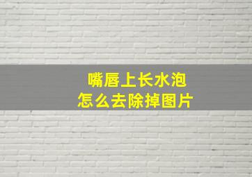 嘴唇上长水泡怎么去除掉图片