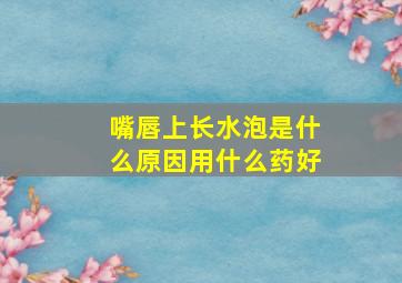 嘴唇上长水泡是什么原因用什么药好