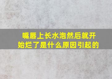 嘴唇上长水泡然后就开始烂了是什么原因引起的