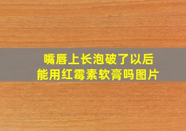 嘴唇上长泡破了以后能用红霉素软膏吗图片