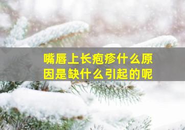 嘴唇上长疱疹什么原因是缺什么引起的呢