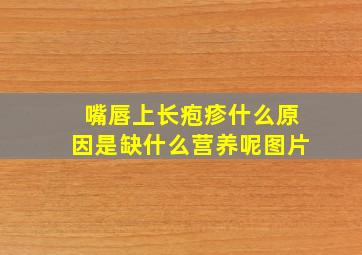 嘴唇上长疱疹什么原因是缺什么营养呢图片