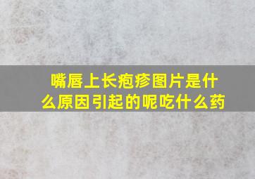 嘴唇上长疱疹图片是什么原因引起的呢吃什么药