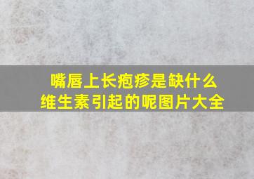 嘴唇上长疱疹是缺什么维生素引起的呢图片大全