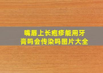 嘴唇上长疱疹能用牙膏吗会传染吗图片大全