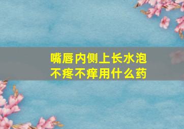 嘴唇内侧上长水泡不疼不痒用什么药