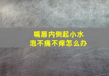 嘴唇内侧起小水泡不痛不痒怎么办