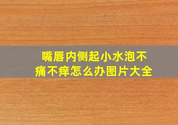 嘴唇内侧起小水泡不痛不痒怎么办图片大全