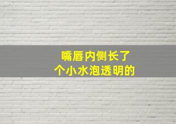 嘴唇内侧长了个小水泡透明的