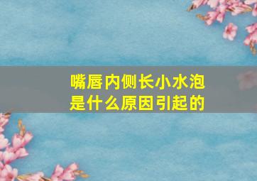 嘴唇内侧长小水泡是什么原因引起的