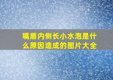 嘴唇内侧长小水泡是什么原因造成的图片大全