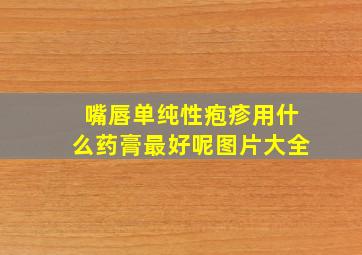 嘴唇单纯性疱疹用什么药膏最好呢图片大全