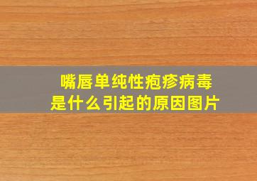 嘴唇单纯性疱疹病毒是什么引起的原因图片