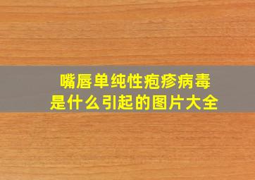 嘴唇单纯性疱疹病毒是什么引起的图片大全