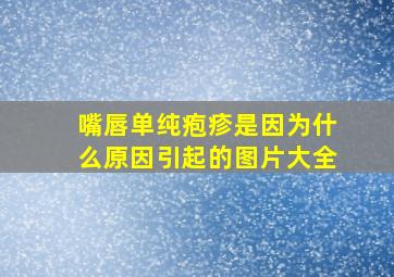 嘴唇单纯疱疹是因为什么原因引起的图片大全