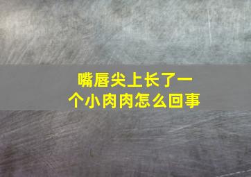 嘴唇尖上长了一个小肉肉怎么回事