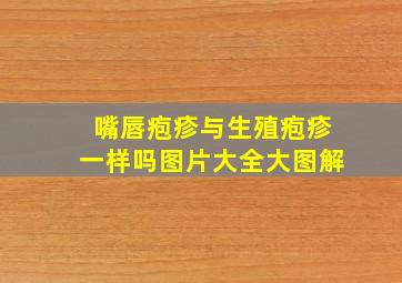 嘴唇疱疹与生殖疱疹一样吗图片大全大图解