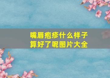 嘴唇疱疹什么样子算好了呢图片大全