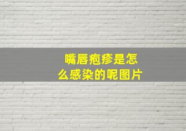 嘴唇疱疹是怎么感染的呢图片