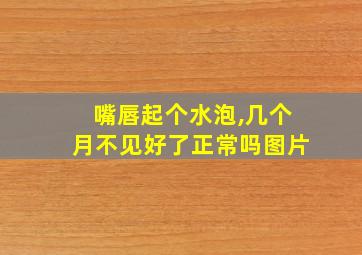 嘴唇起个水泡,几个月不见好了正常吗图片