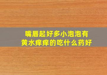 嘴唇起好多小泡泡有黄水痒痒的吃什么药好