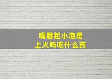 嘴唇起小泡是上火吗吃什么药