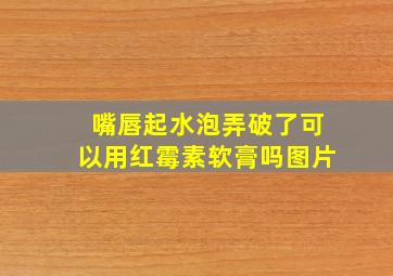 嘴唇起水泡弄破了可以用红霉素软膏吗图片