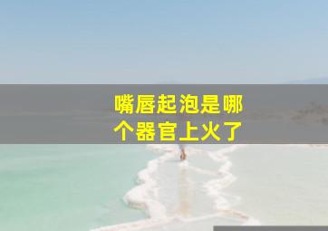 嘴唇起泡是哪个器官上火了