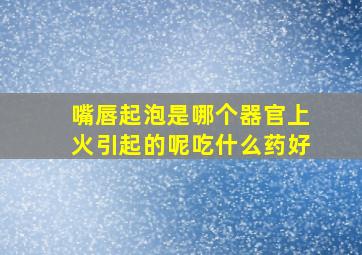 嘴唇起泡是哪个器官上火引起的呢吃什么药好