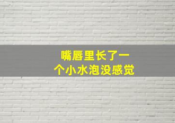 嘴唇里长了一个小水泡没感觉