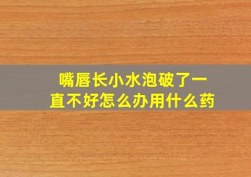 嘴唇长小水泡破了一直不好怎么办用什么药