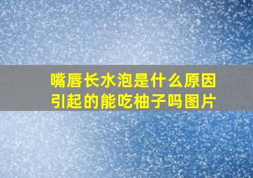 嘴唇长水泡是什么原因引起的能吃柚子吗图片